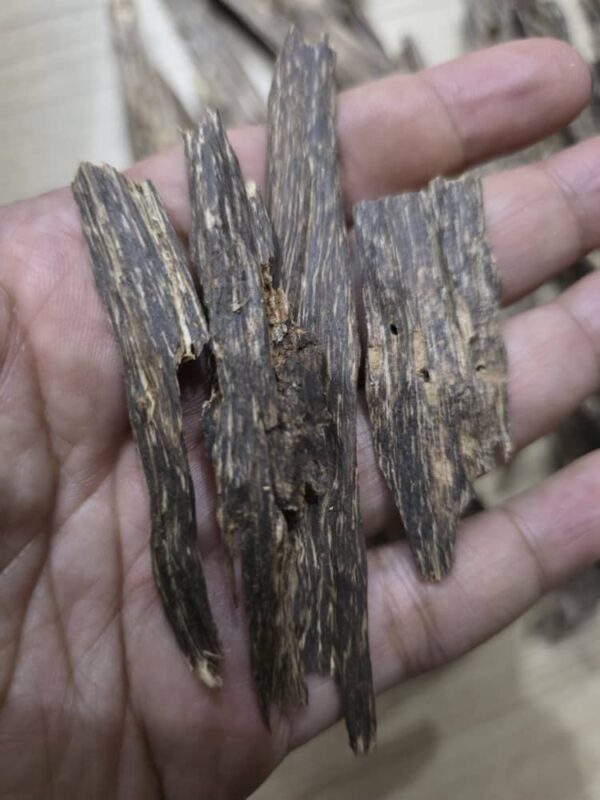 Agar Woodchip Malaysia No 2