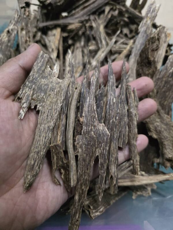 Agar Woodchip Malaysia No 2