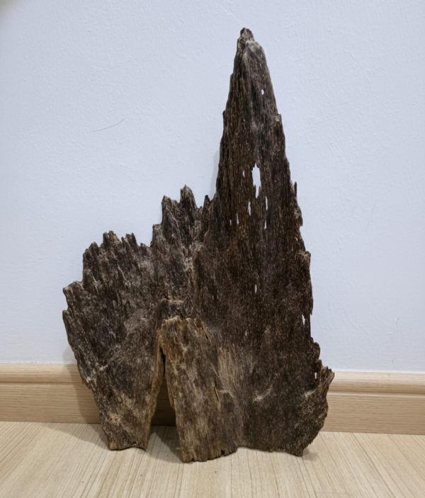 Premium Malaysian Wild Agarwood (Gaharu) 345g + free gifts