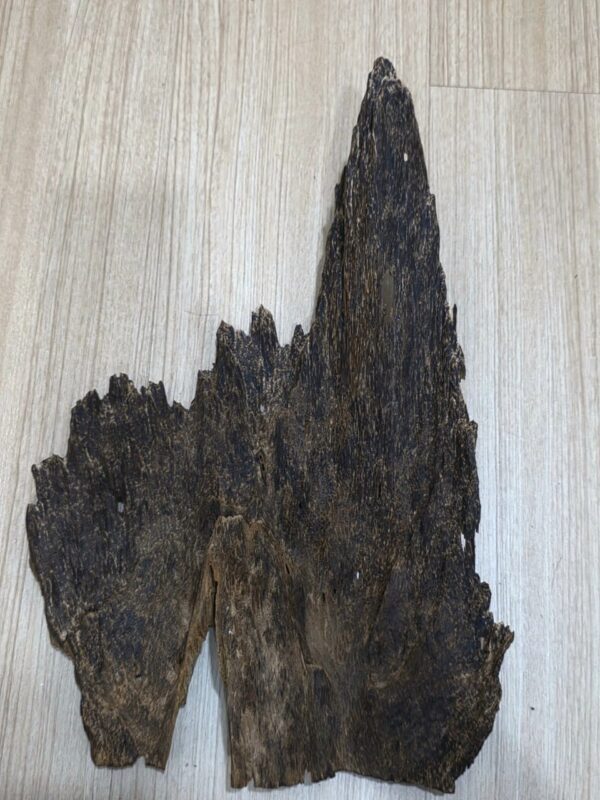 Premium Malaysian Wild Agarwood (Gaharu) 345g + free gifts
