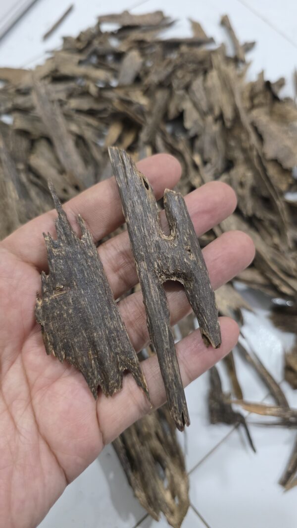 300g Terrenganu Malaysia #1
