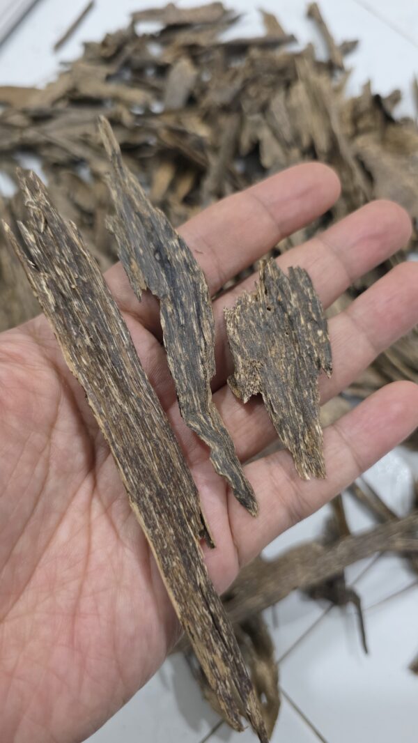 300g Terrenganu Malaysia #1
