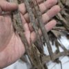 300g Terrenganu Malaysia #1