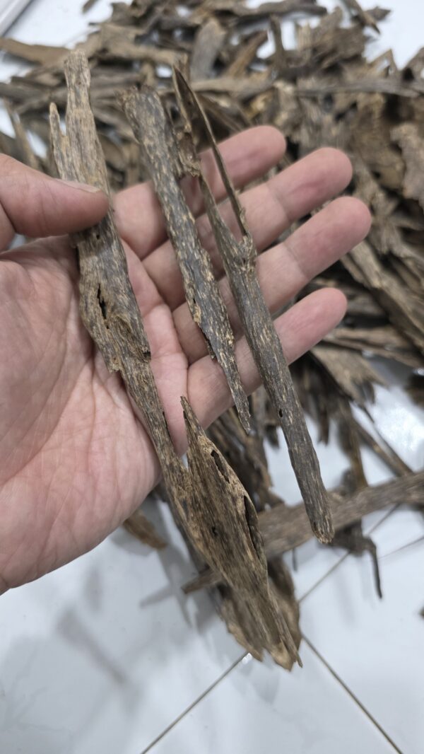 300g Terrenganu Malaysia #1