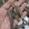300g Terrenganu Malaysia #1