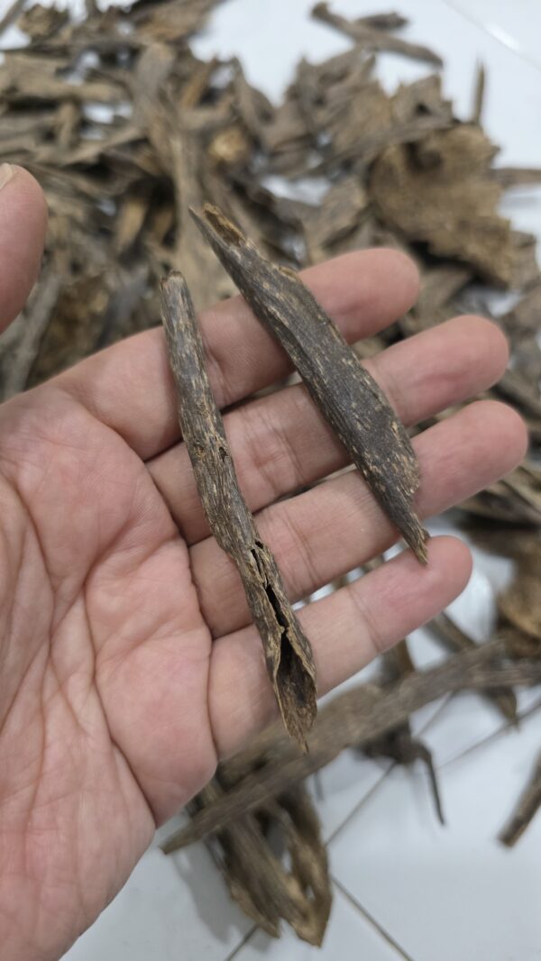 300g Terrenganu Malaysia #1