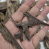 300g Terrenganu Malaysia #1