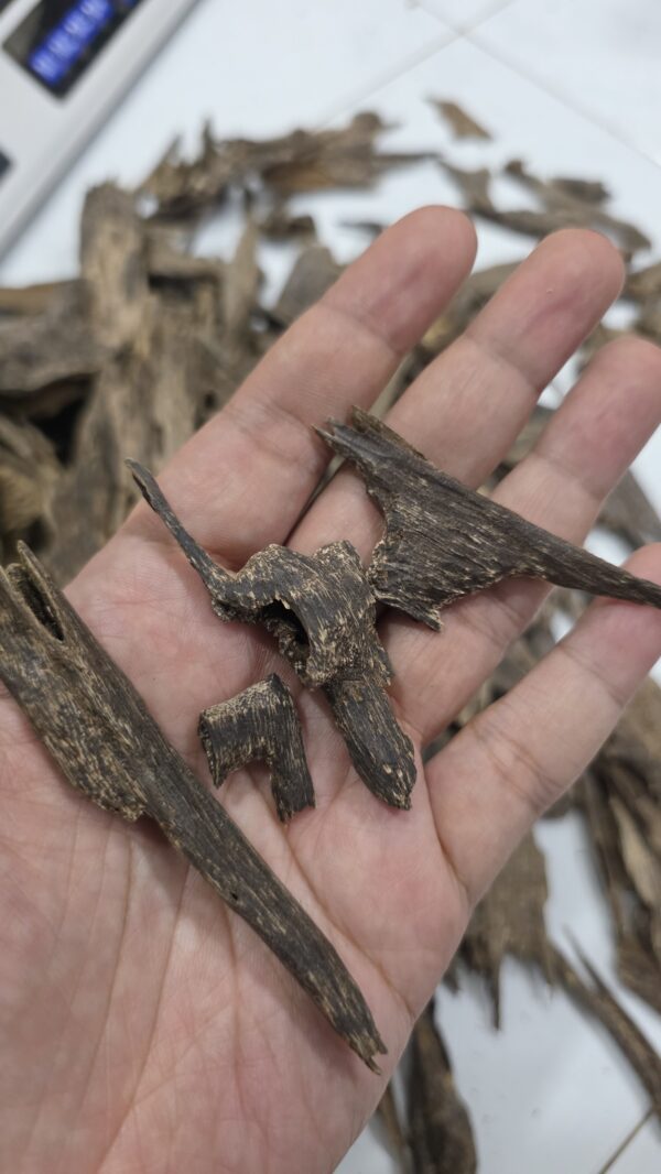 300g Terrenganu Malaysia #1
